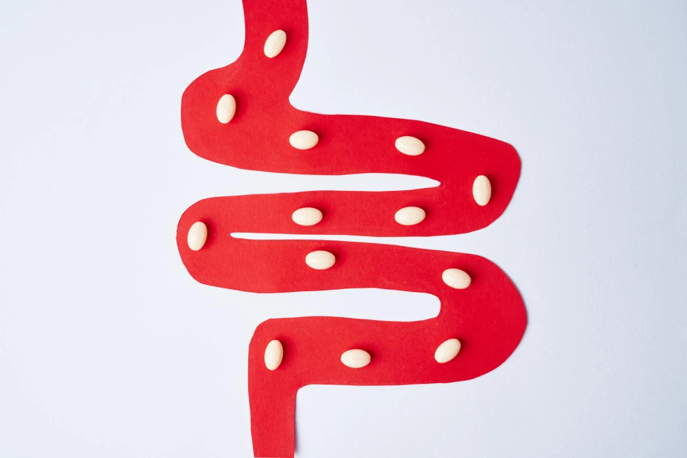 Intestino: O segundo cérebro e sua influência no seu humor Intestino: O segundo cérebro e sua influência no seu humor